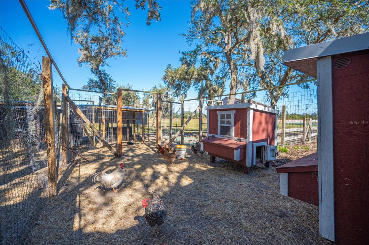 4900 J Jackson Road, Fort Meade, FL 33841 Photo