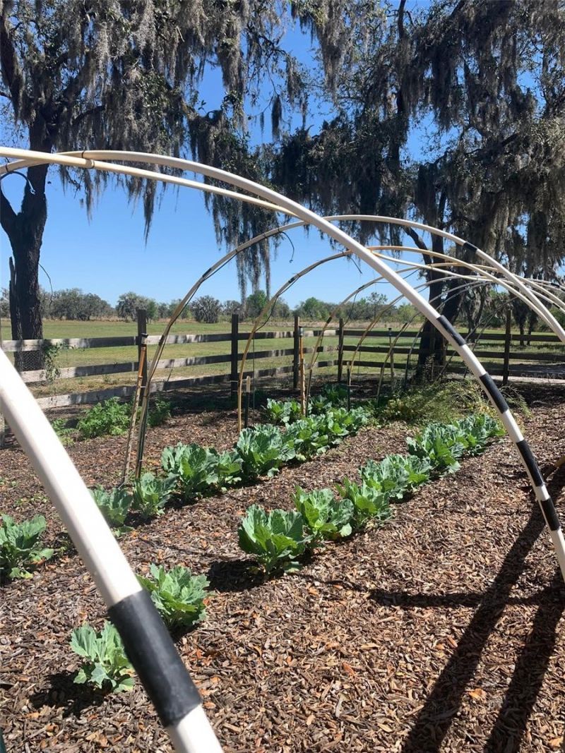 4900 J Jackson Road, Fort Meade, FL 33841 Photo