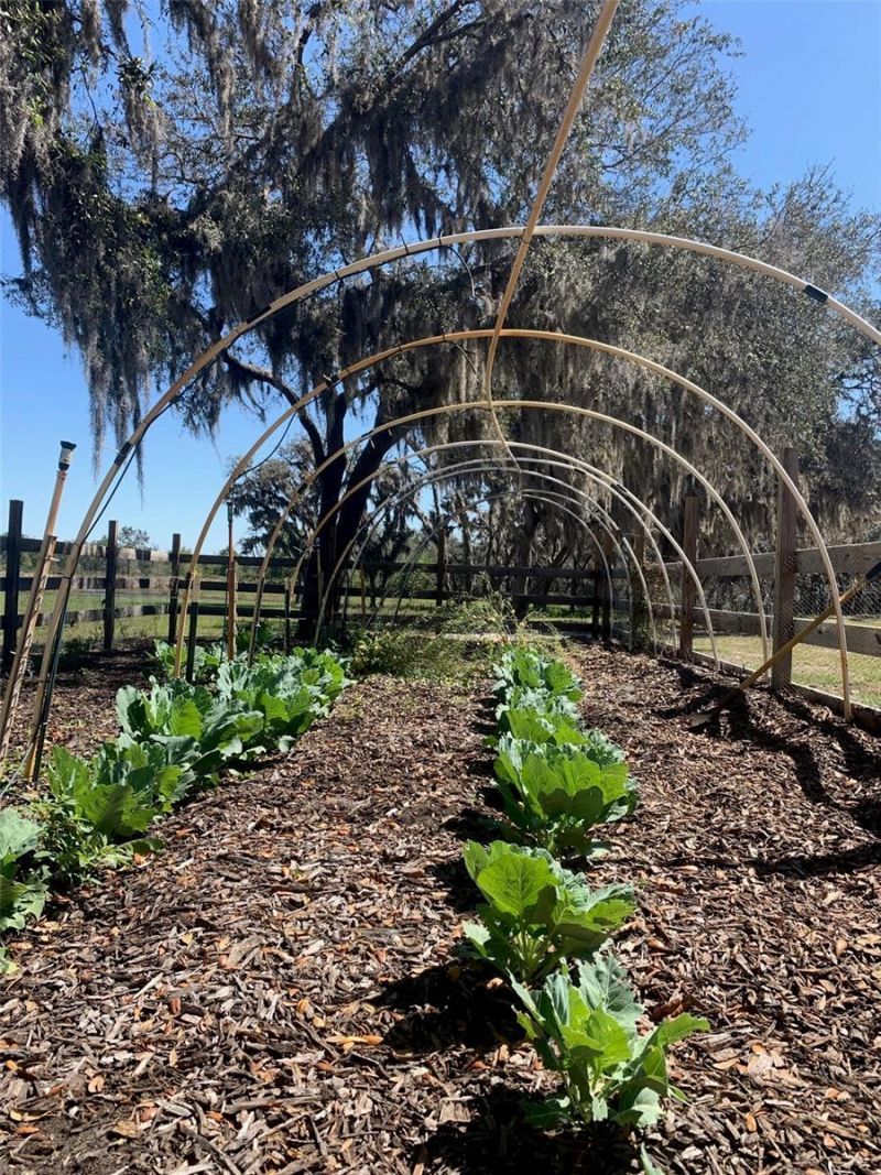 4900 J Jackson Road, Fort Meade, FL 33841 Photo