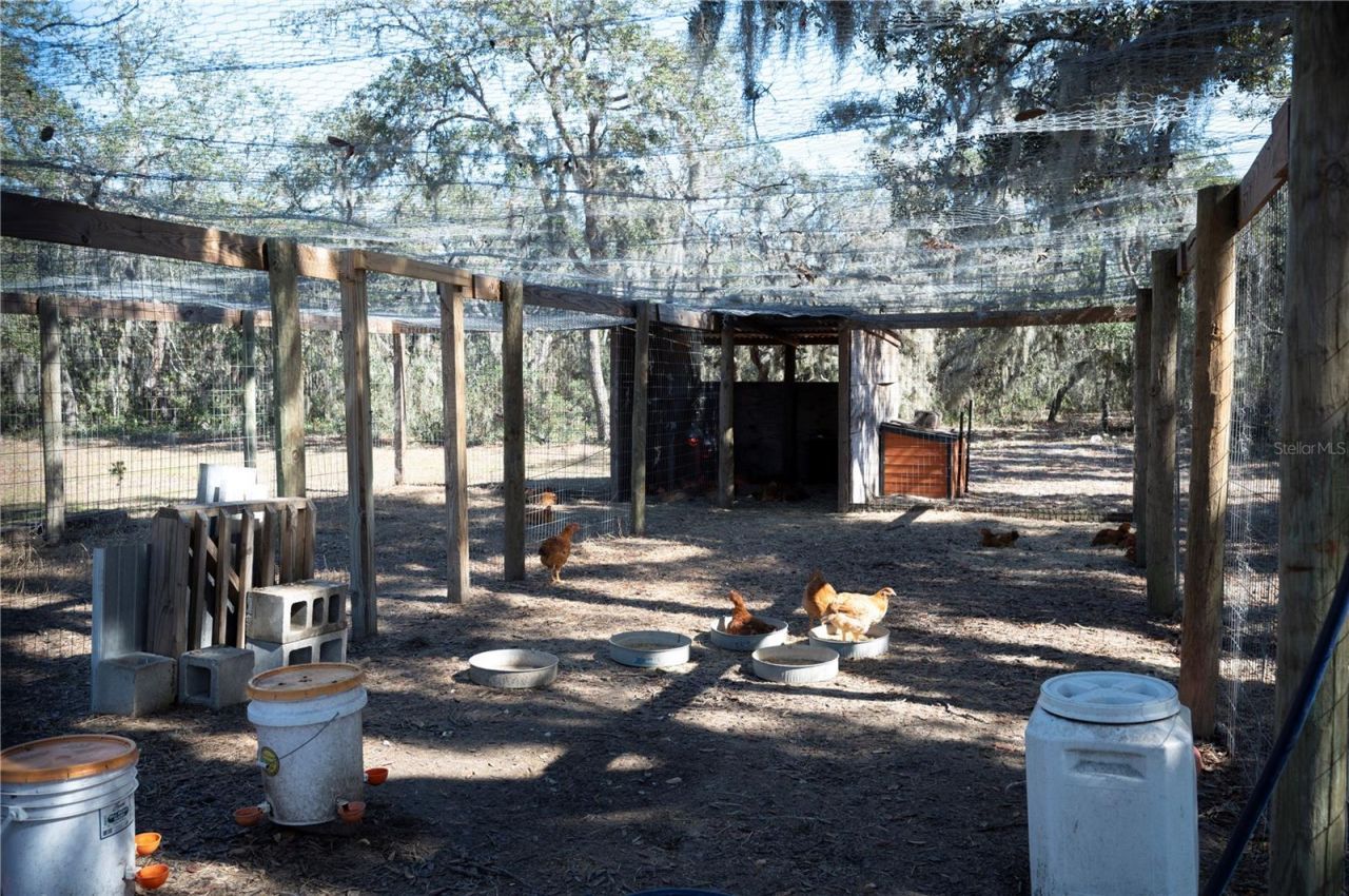 4900 J Jackson Road, Fort Meade, FL 33841 Photo