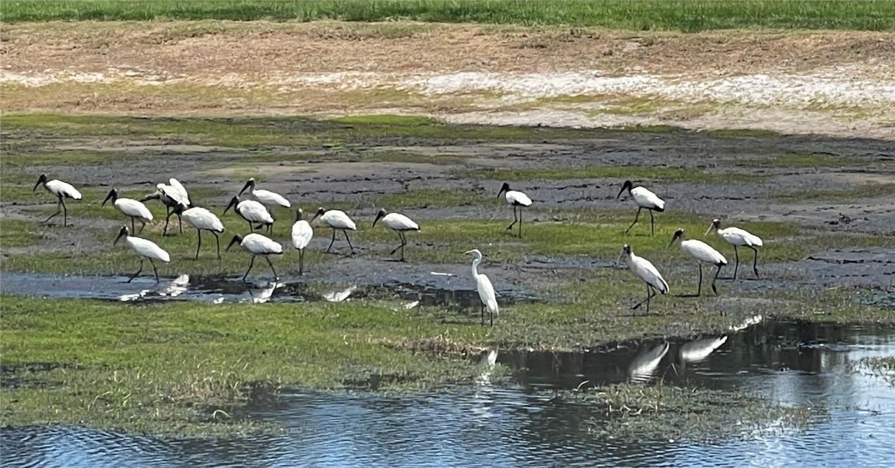 4900 J Jackson Road, Fort Meade, FL 33841 Photo