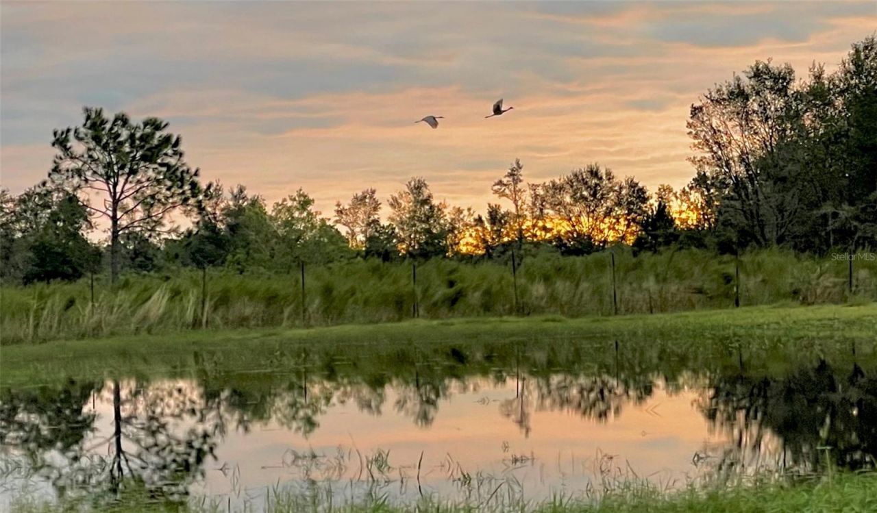 4900 J Jackson Road, Fort Meade, FL 33841 Photo