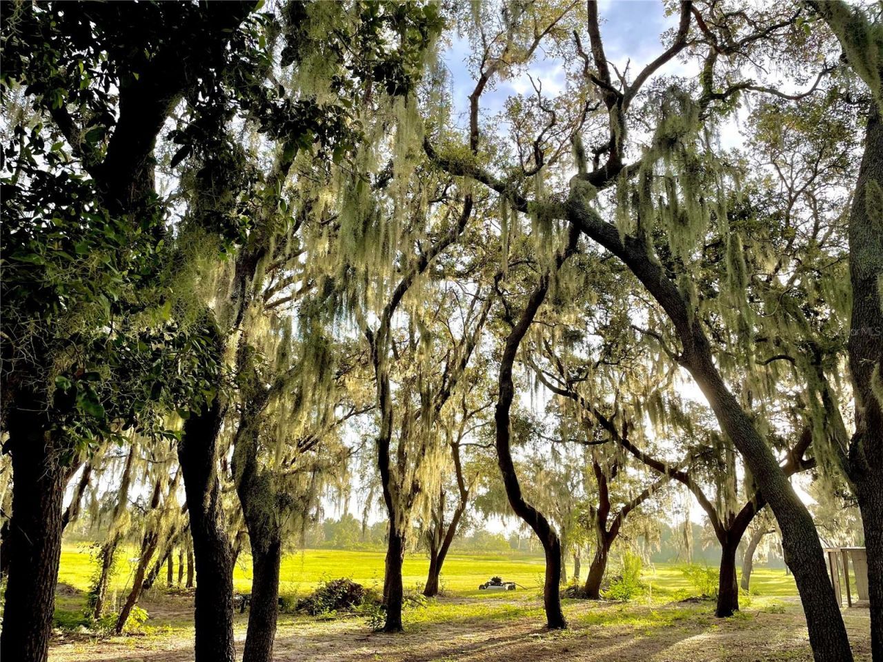 4900 J Jackson Road, Fort Meade, FL 33841 Photo