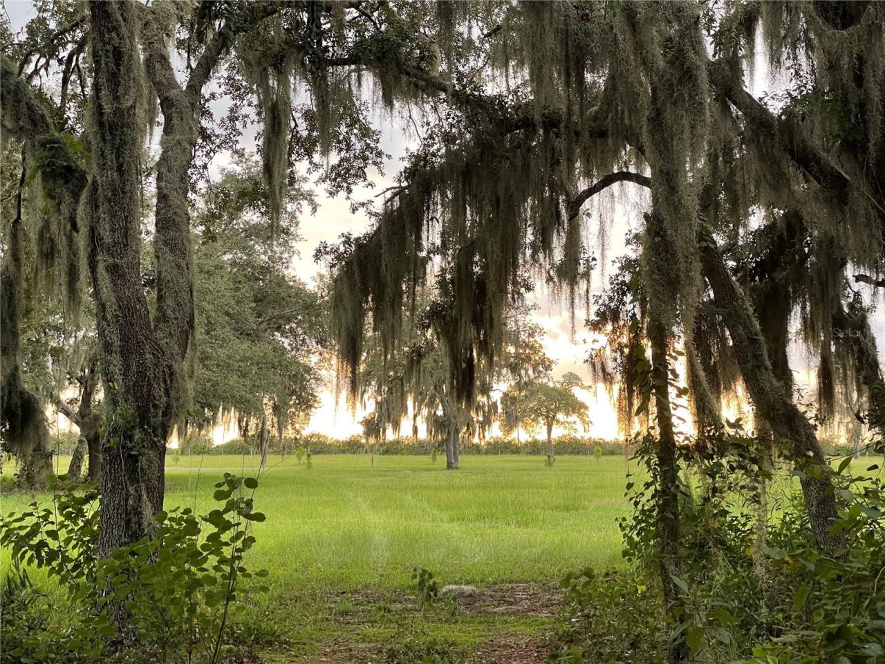 4900 J Jackson Road, Fort Meade, FL 33841 Photo