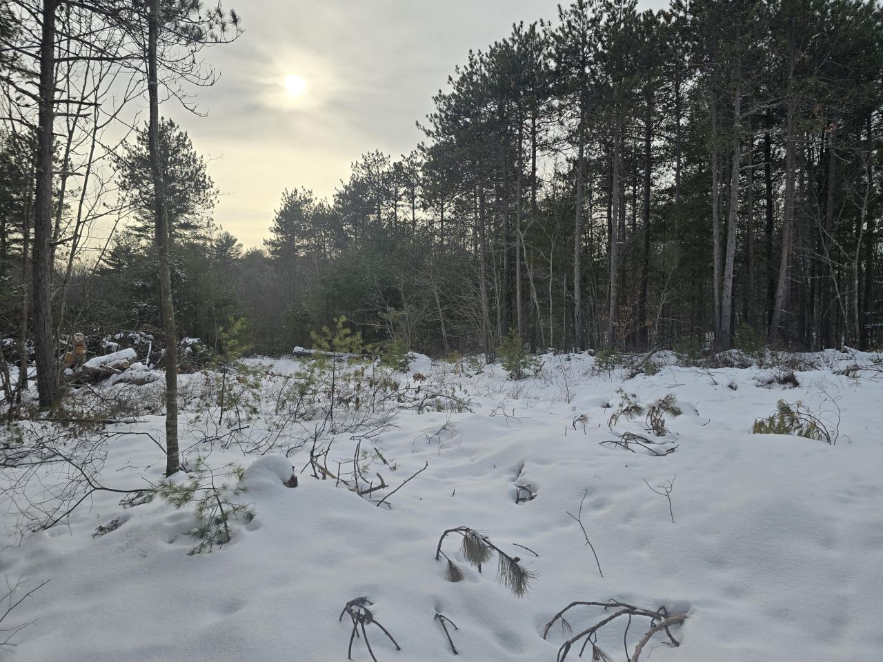 0 Victory Lane, Phippsburg, ME 04562 Main Photo