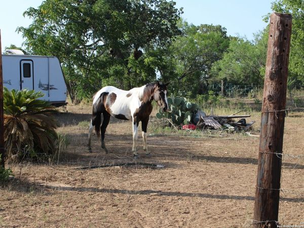 760-1 N GREYTOWN RD, St Hedwig, TX 78152