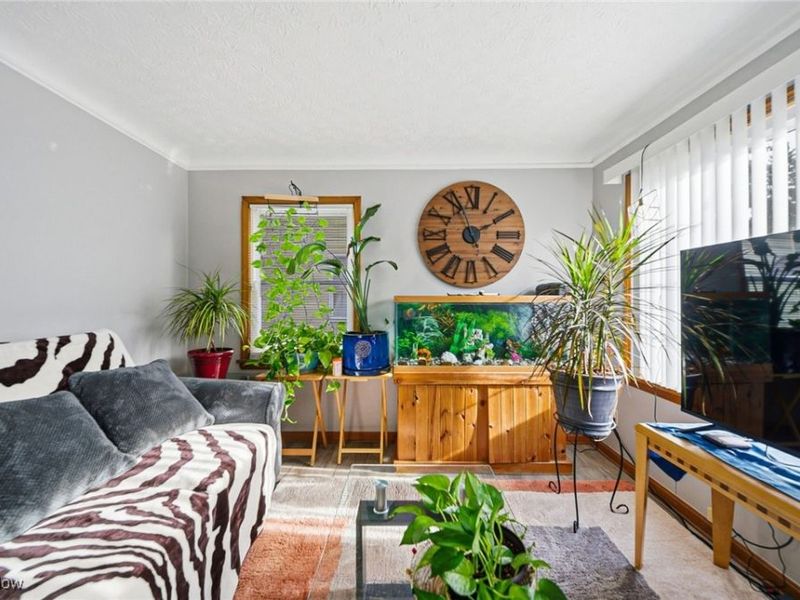 18811 Waterbury Avenue, Maple Heights, OH 44137 Photo 3