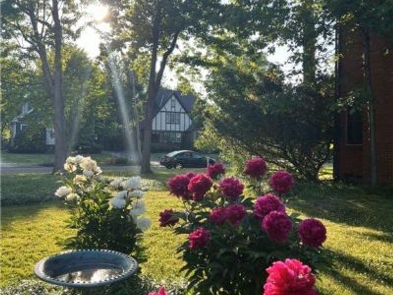 2399 Edgerton Road, Cleveland, OH 44118 Photo 50