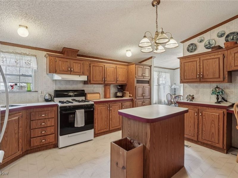 1 Fiddlesticks, Olmsted Township, OH 44138 Photo 16