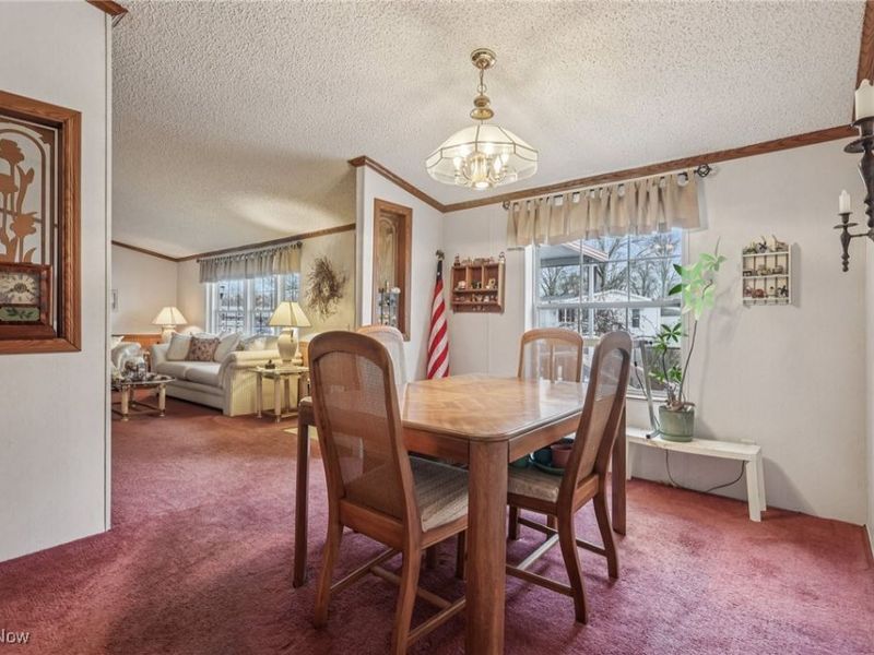 1 Fiddlesticks, Olmsted Township, OH 44138 Photo 8