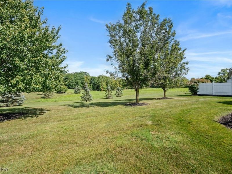 6007 Steeple Chase Way, Medina, OH 44256 Photo 29