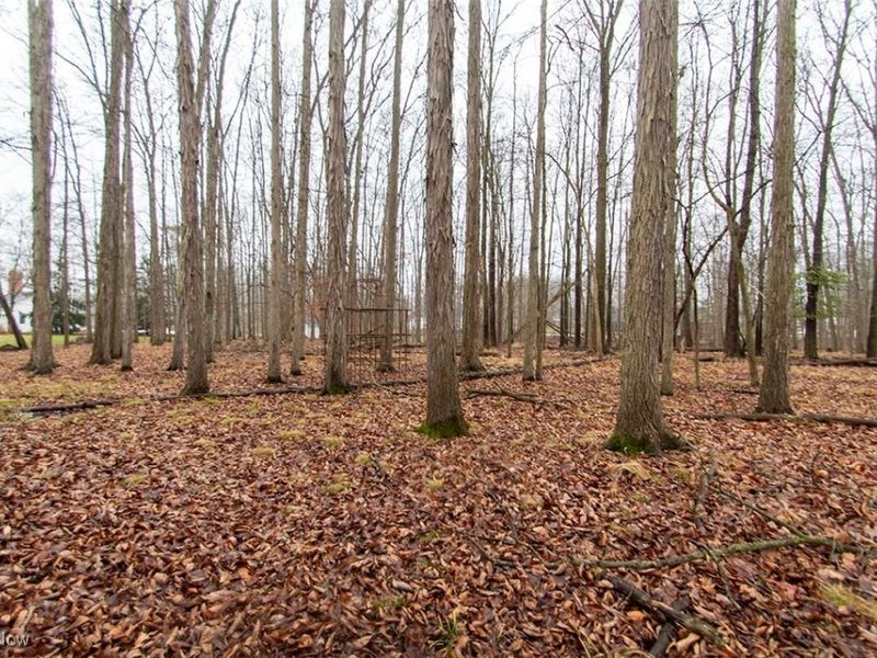 810 Beechwood Drive, Medina, OH 44256 Photo 30