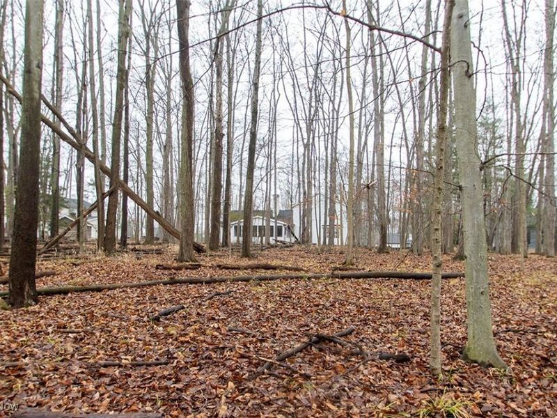 810 Beechwood Drive, Medina, OH 44256 Photo 35