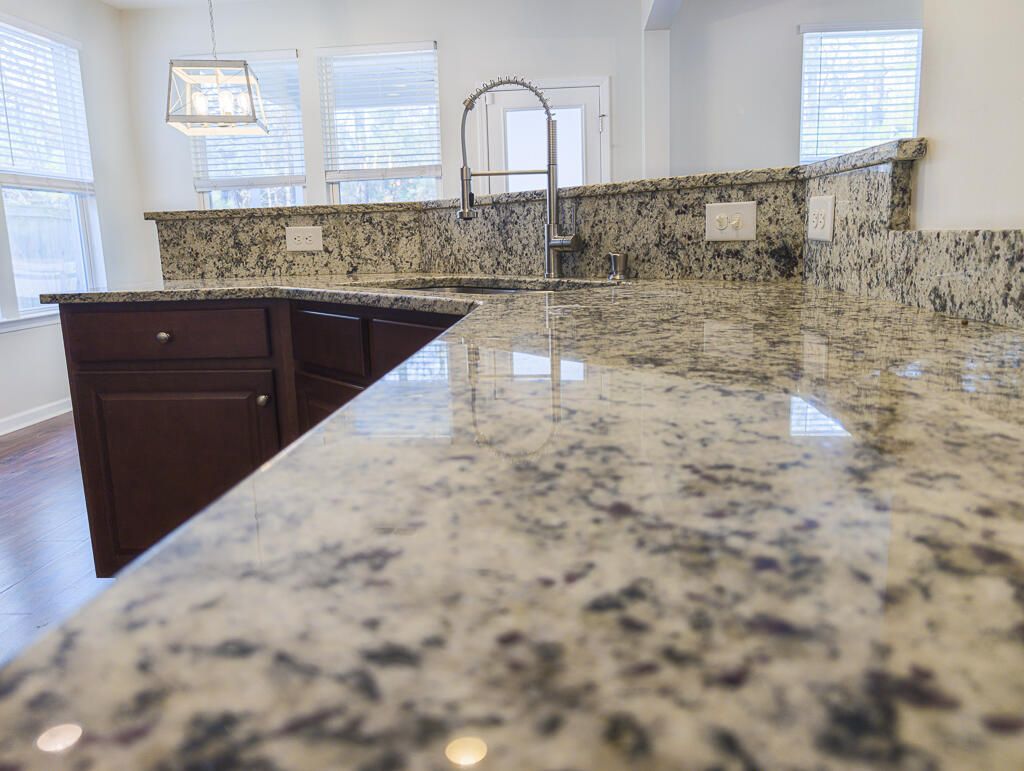 1642 Eider Down Drive Photo 12