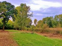 840 Arbor Avenue, West Chicago, IL 60185 primary photo