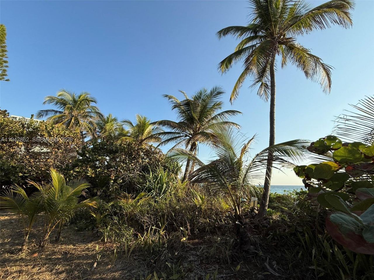 5784 N Surf Rd, Hollywood, FL 33019 Photo