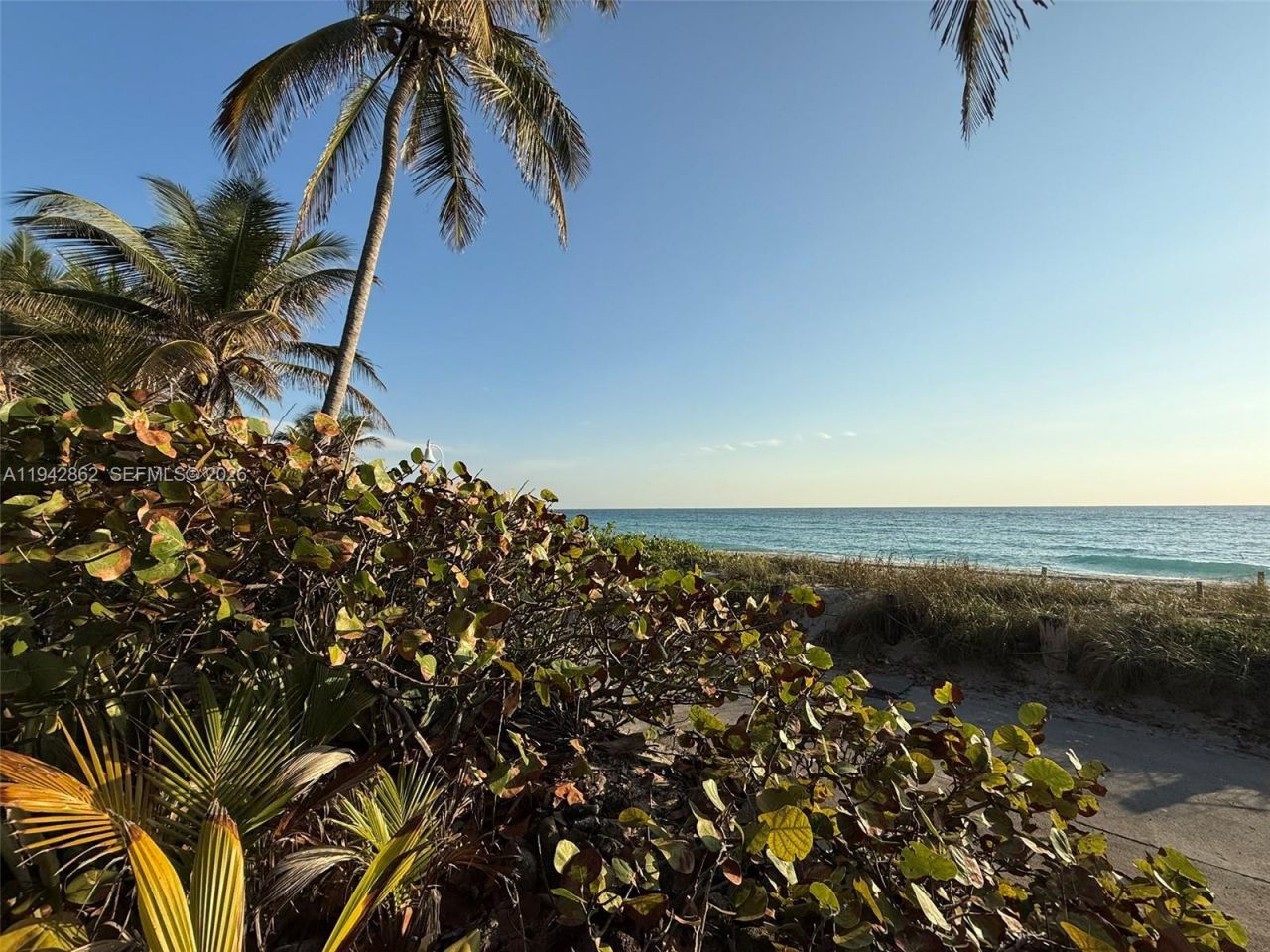 5784 N Surf Rd, Hollywood, FL 33019 Photo