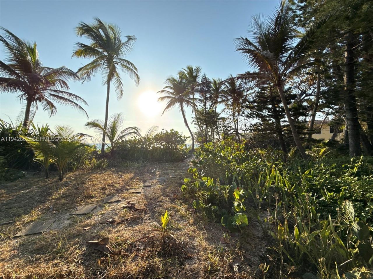 5784 N Surf Rd, Hollywood, FL 33019 Photo