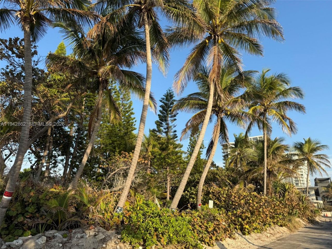 5784 N Surf Rd, Hollywood, FL 33019 Photo