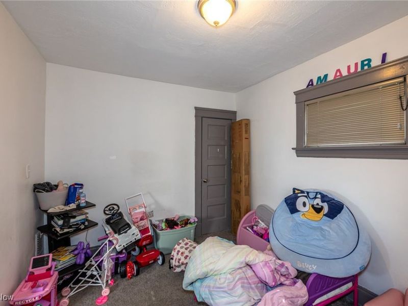 13509 Svec Avenue, Cleveland, OH 44120 Photo 44