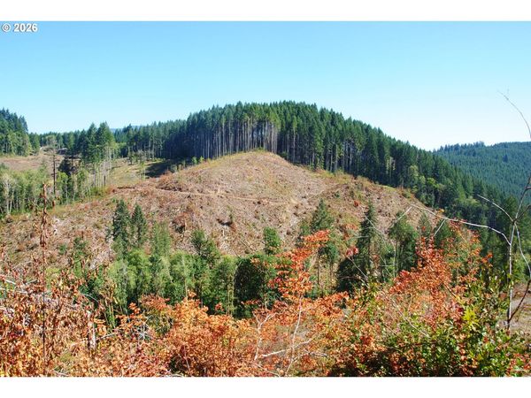 00 Van Horn (140) RD, Alsea, OR 97324