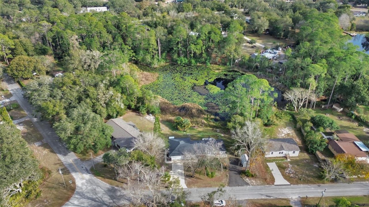 43746 Sunset Drive, Paisley, FL 32767 Photo