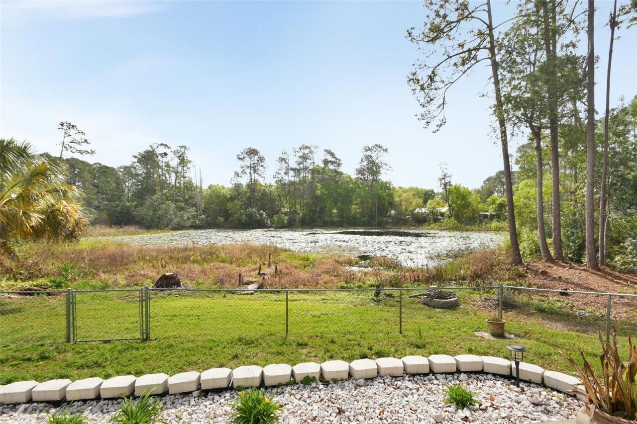 43746 Sunset Drive, Paisley, FL 32767 Photo