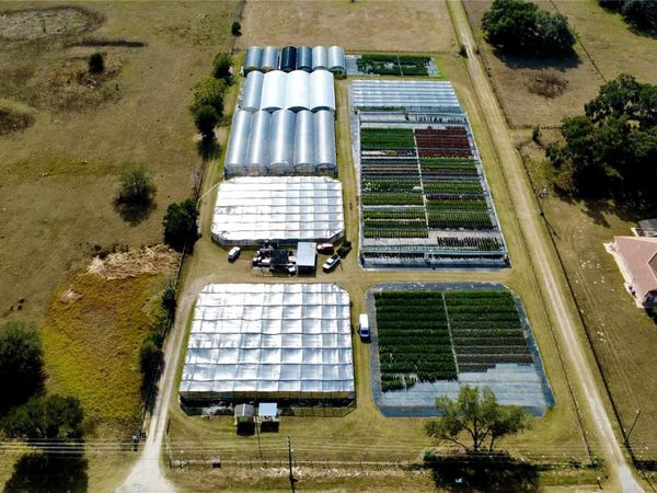 23010 WOLF BRANCH ROAD, SORRENTO, FL 32776