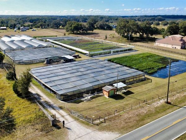 23010 WOLF BRANCH ROAD, SORRENTO, FL 32776