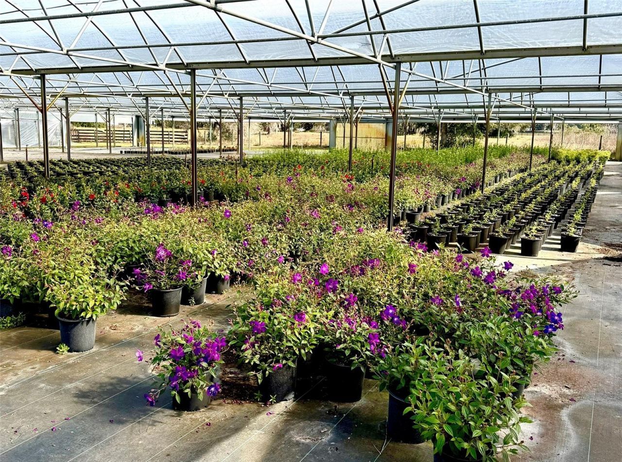 23010 Wolf Branch Road, Sorrento, FL 32776 Photo