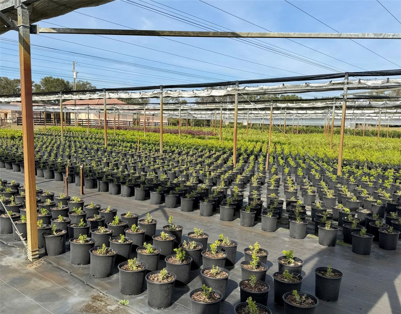 23010 Wolf Branch Road, Sorrento, FL 32776 Photo