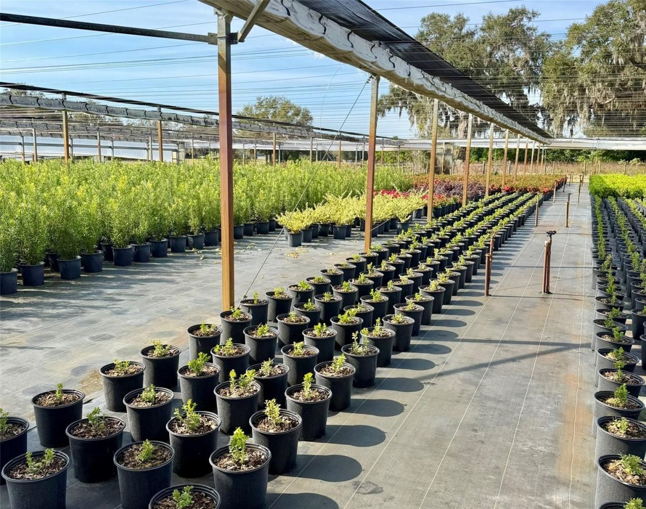 23010 Wolf Branch Road, Sorrento, FL 32776 Photo