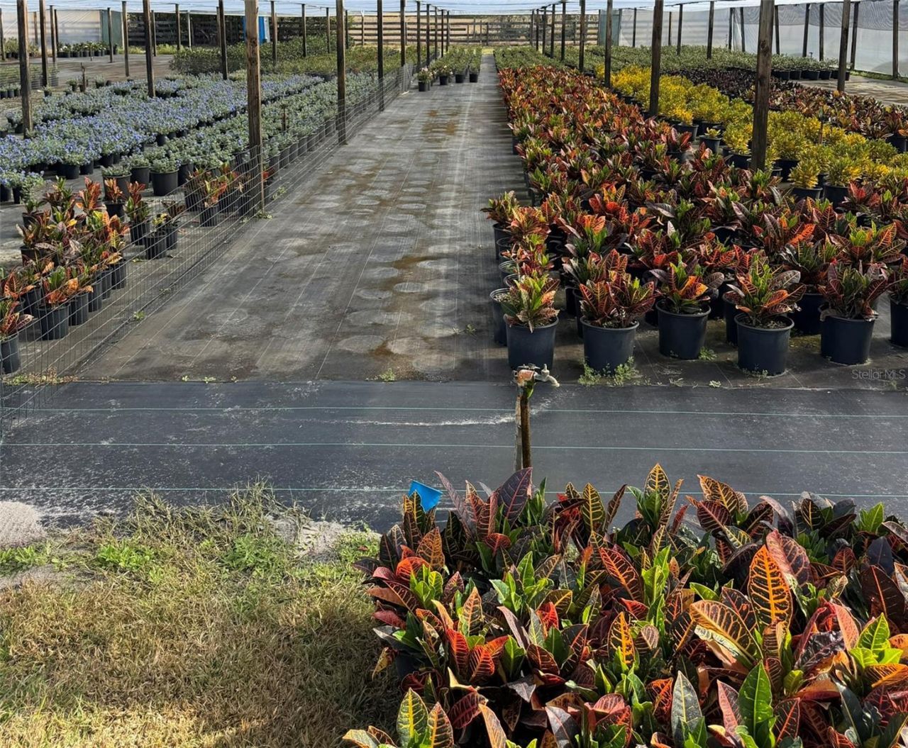 23010 Wolf Branch Road, Sorrento, FL 32776 Photo