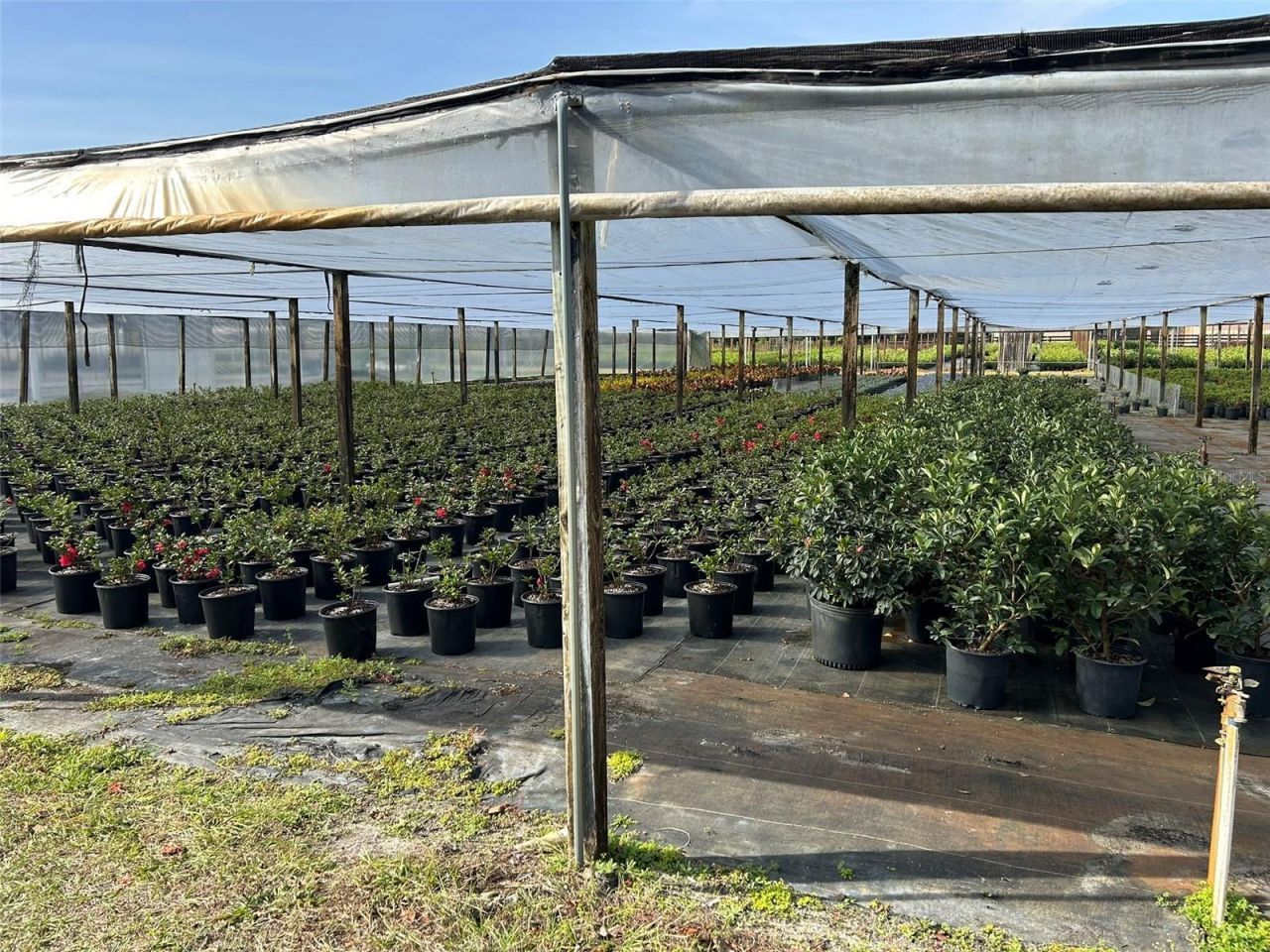 23010 Wolf Branch Road, Sorrento, FL 32776 Photo