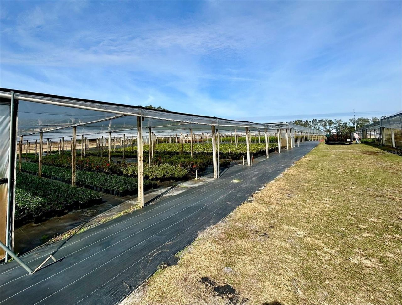 23010 Wolf Branch Road, Sorrento, FL 32776 Photo