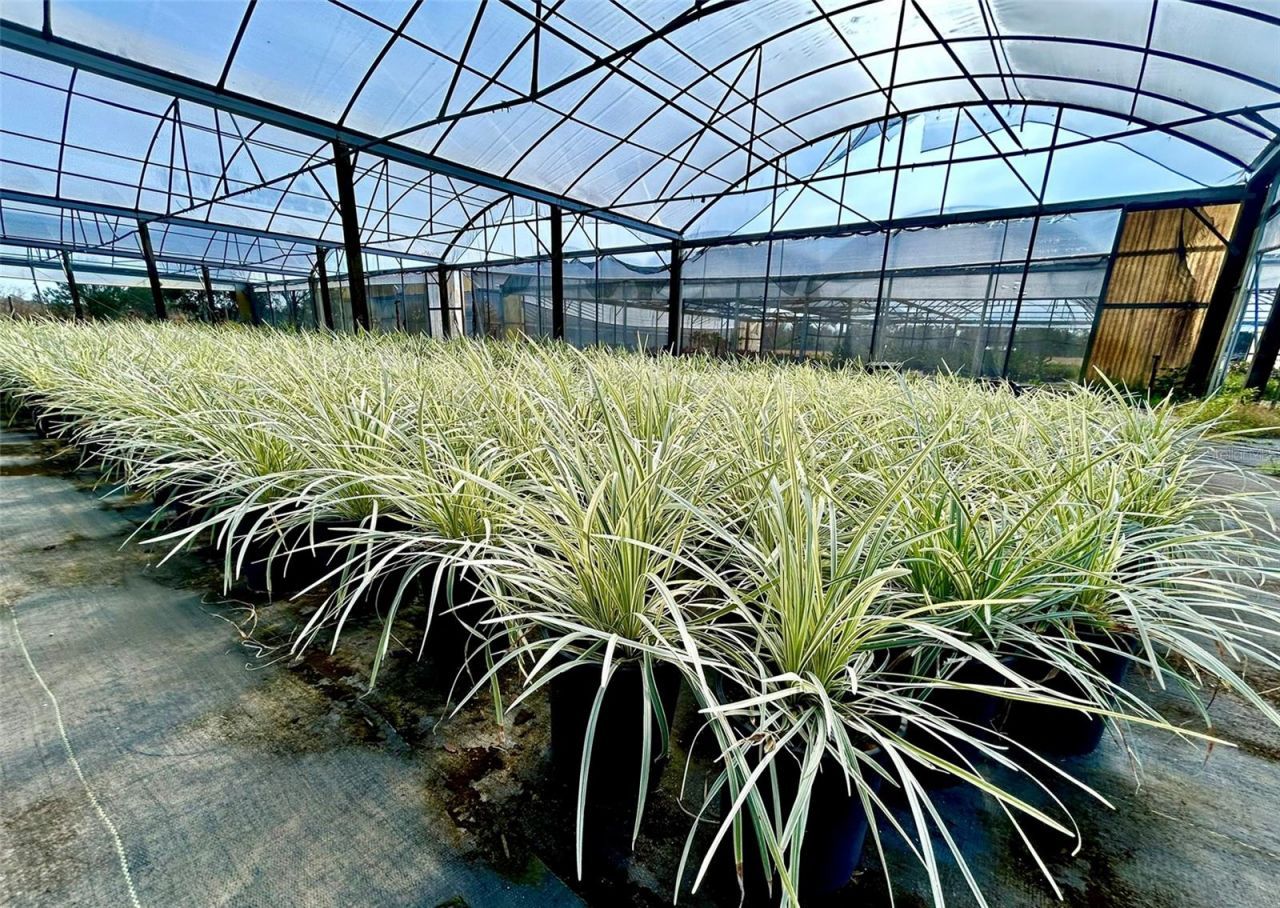 23010 Wolf Branch Road, Sorrento, FL 32776 Photo