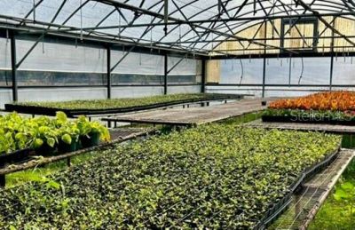 23010 Wolf Branch Road, Sorrento, FL 32776 Photo