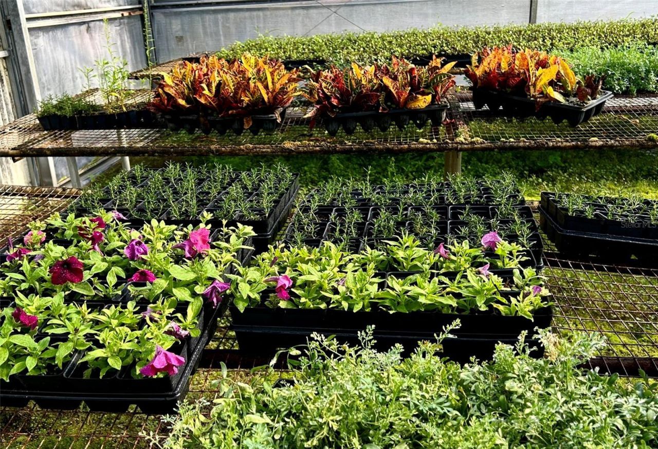 23010 Wolf Branch Road, Sorrento, FL 32776 Photo