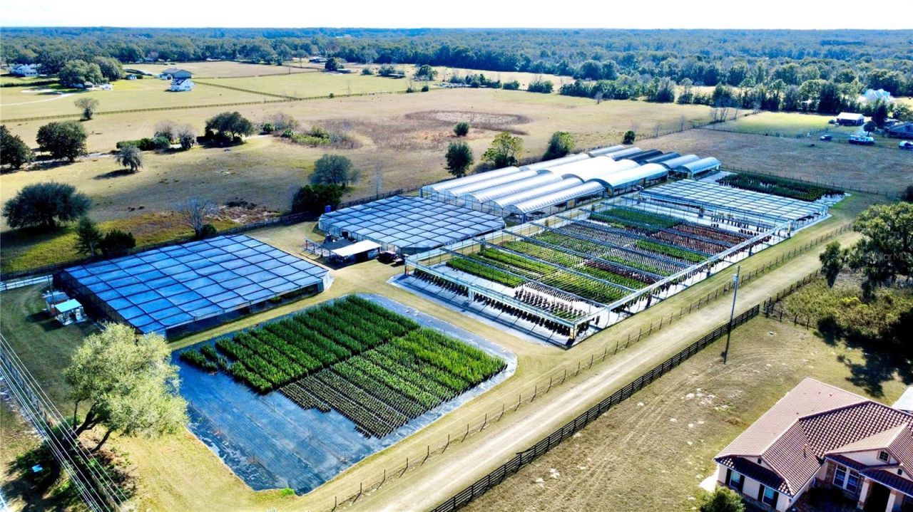 23010 Wolf Branch Road, Sorrento, FL 32776 Photo