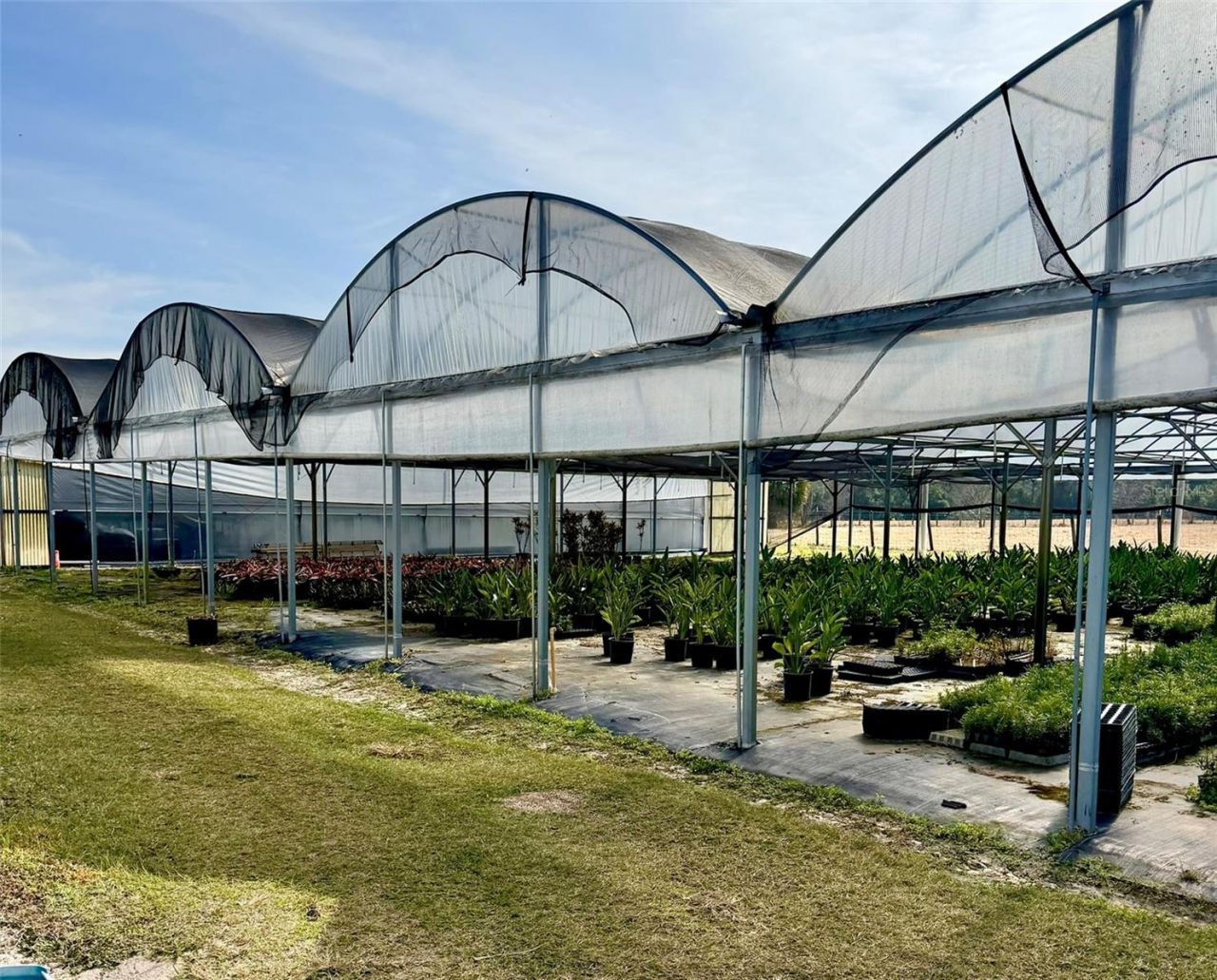 23010 Wolf Branch Road, Sorrento, FL 32776 Photo