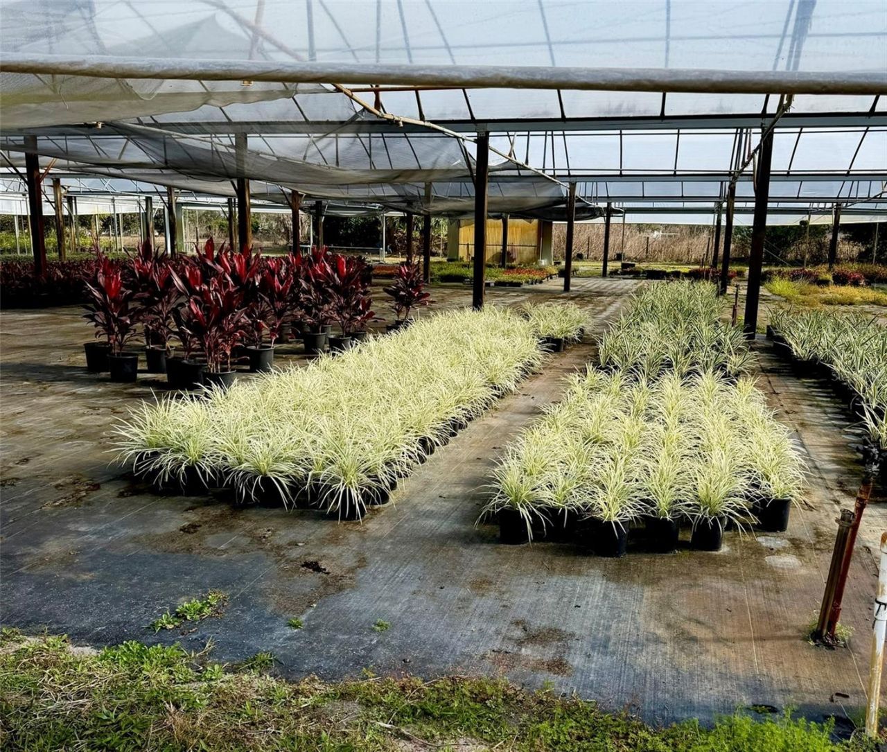 23010 Wolf Branch Road, Sorrento, FL 32776 Photo