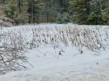 Penfield Road, Camden, NY 13316