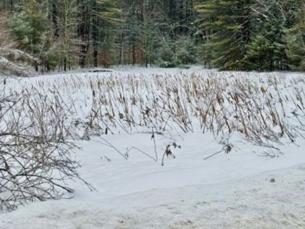 Penfield Road, Camden, NY 13316