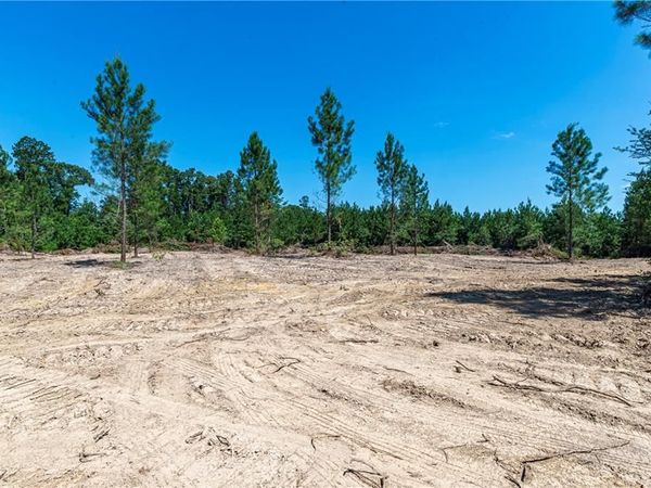 Lot 3 TEN MILE Road, Pitkin, LA 70656