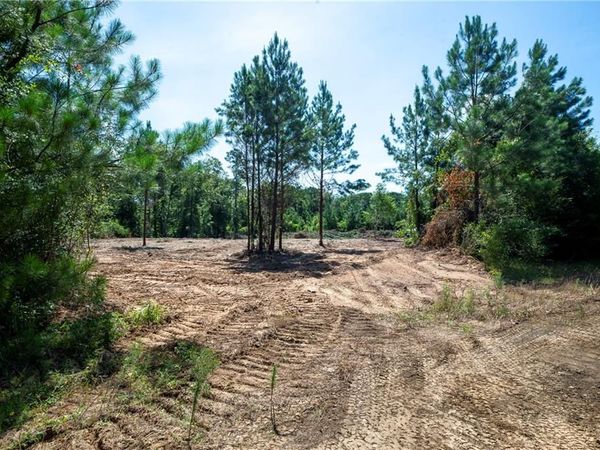 Lot 2 TEN MILE Road, Pitkin, LA 70656