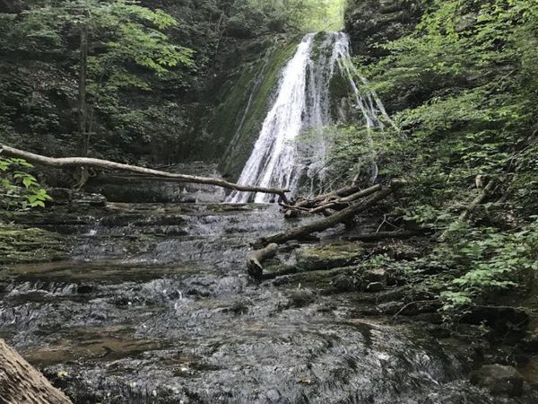 0 Old Mill Creek Circle, Unit #36, Chickamauga, GA 30707