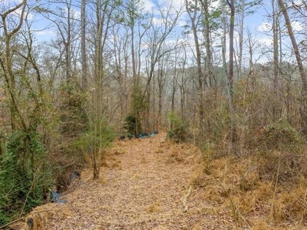 4194 Rocky Ledge Way, Snellville, GA 30039