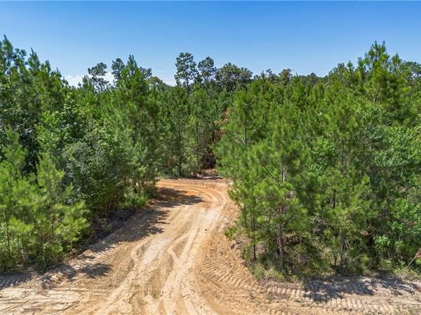 Lot A TEN MILE Road, Pitkin, LA 70656