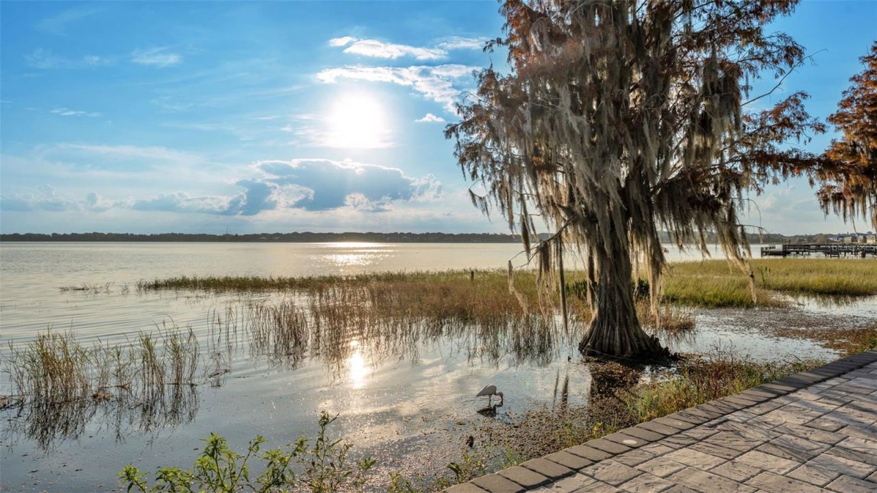 165 Arianna Way, Auburndale, FL 33823 Photo