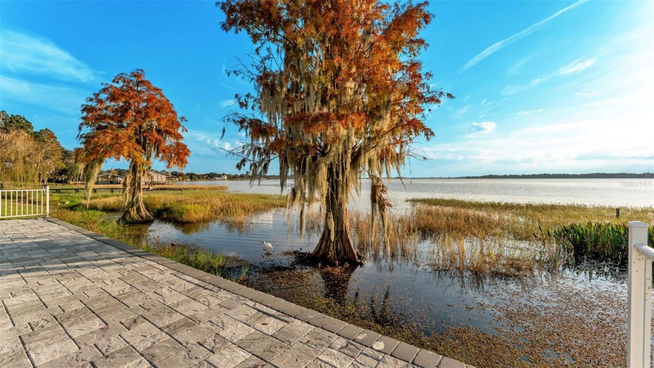 165 Arianna Way, Auburndale, FL 33823 Photo